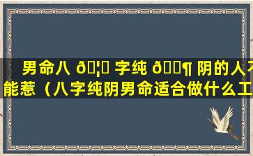 男命八 🦈 字纯 🐶 阴的人不能惹（八字纯阴男命适合做什么工作）